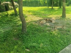 -上海野生动物园