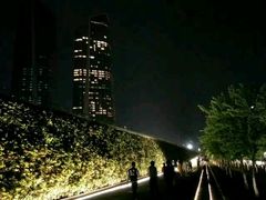 -南京眼步行桥