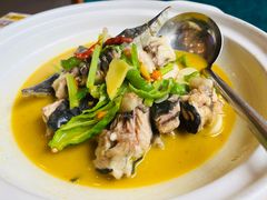 黄焖鲟龙鱼-饭怕鱼(阳光100店)