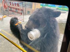 -栾川竹海野生动物园