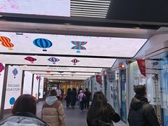 -乐天免税店(明洞店)