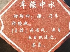 -广西壮族自治区药用植物园