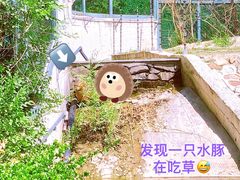 -天津市动物园
