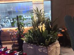 -鼎原力量东北吊炉烧烤(幸福街店)