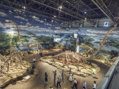 -自贡恐龙博物馆