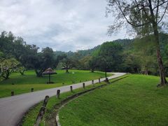 -槟城植物园