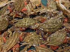 -龙宴海鲜城(经中路店)