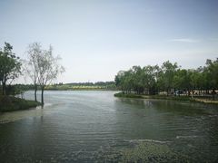 -东郊湿地公园