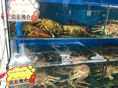 水产区-蚝专家(北滘店)