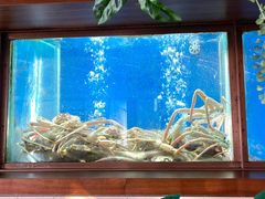 -珍宝海鲜JUMBO Seafood(尚嘉店)