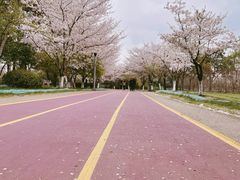 -尚贤河湿地