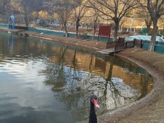 -静之湖度假区