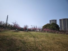 -新洲生态园