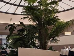 -狮王府淮扬菜(万象城店)
