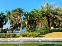 -采粤轩中餐厅(惠州金海湾喜来登度假酒店)