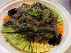 清花大拉皮-大清花饺子(五五路店)