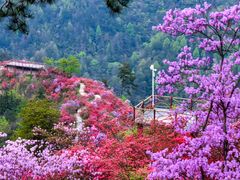 -岳西天峡风景区