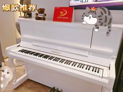 -雅歌音乐培训中心·钢琴培训·乐器培训(交道口店)
