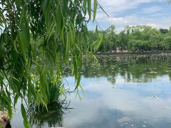 -长春市南湖公园