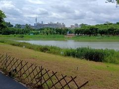 -海珠湖公园