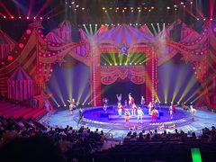 -珠海横琴长隆《卡卡虎奇遇记》