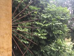 -广州市紫泥堂文化创意园景区