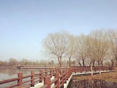 -长兴太湖图影湿地文化园