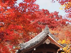 -常寂光寺