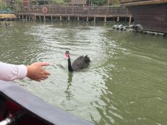 -长鹿旅游休博园