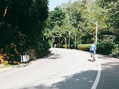-火炉山森林公园