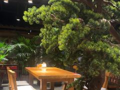 -丹江渔村(首都机场店)