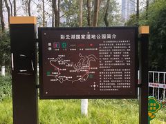 -重庆彩云湖湿地公园