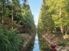 -东平国家森林公园