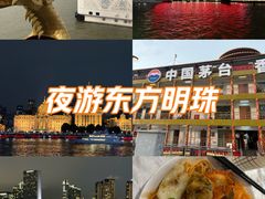 -新龙船黄浦江餐饮游船官方自营店