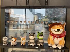 -柴务处·柴犬主题狗咖