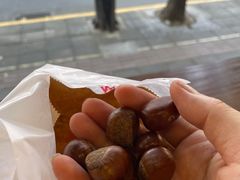 陈记糖炒栗子-陈记栗子(长宁路店)