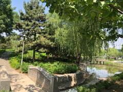 -望湖公园
