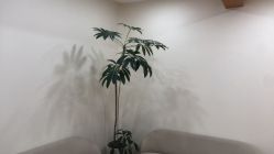 -HEYAN荷妍专业脱毛连锁机构