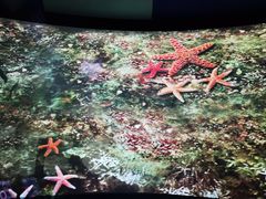 -大连旅顺潜艇博物馆