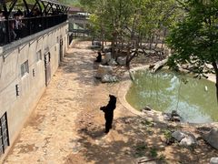 -石家庄市动物园