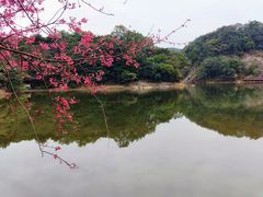 -广州市石门国家森林公园