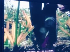 -魅KTV·AI辅唱(福雷德广场店)