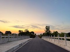 -西京湾花海