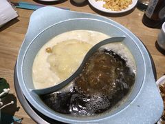-青瓷火锅料理(西单大悦城店)