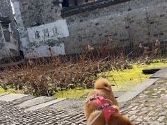 -崇仁古镇