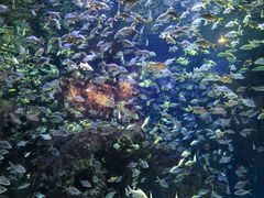 -成都浩海立方海洋公园