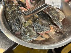 -花鲢鱼头火锅(春城东路店)