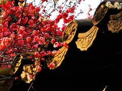 -钱王祠