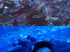 -成都浩海立方海洋公园