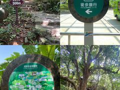 -海南铜鼓岭景区